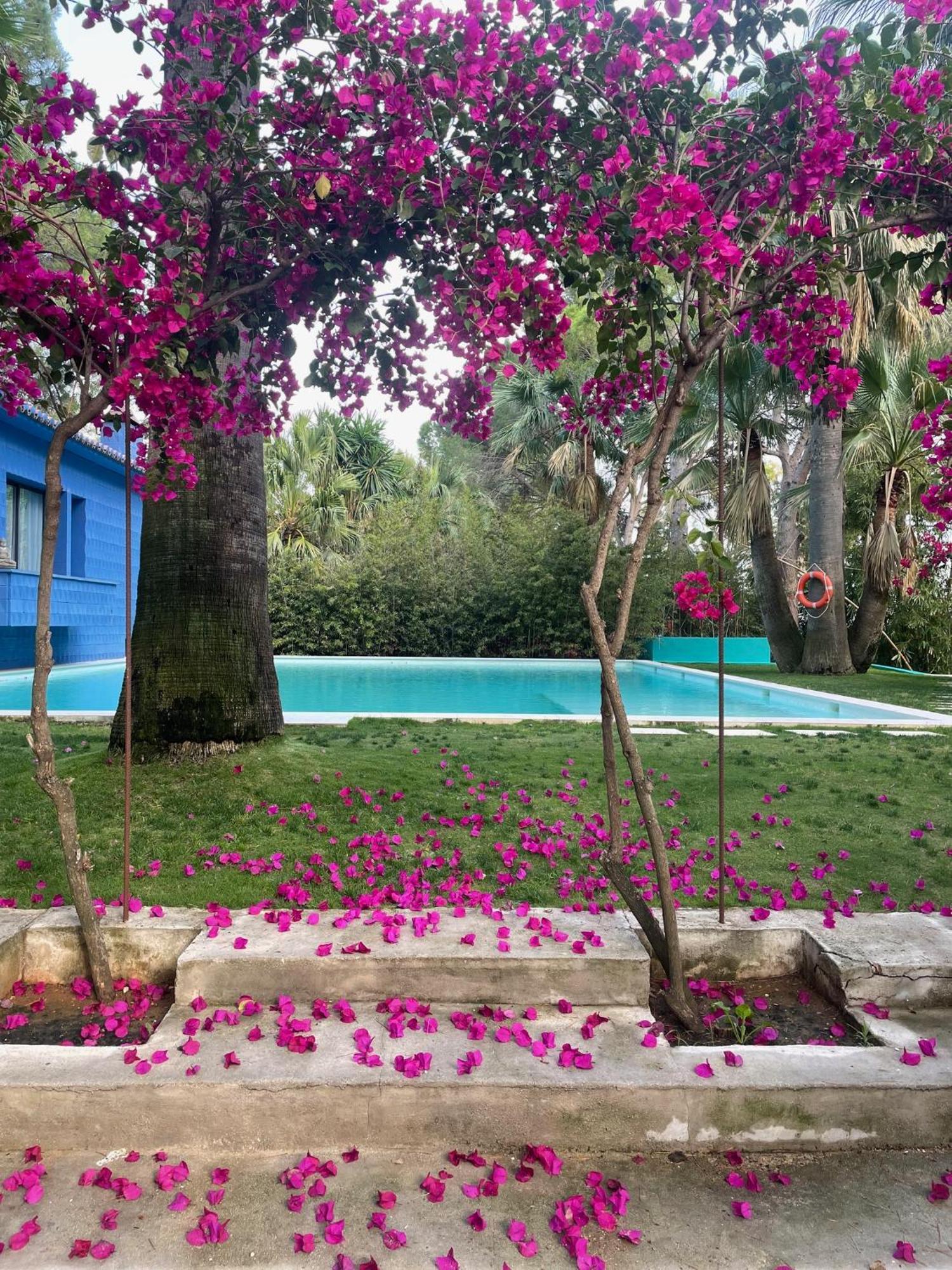 El Botanico De Sagra Hotel Exterior photo